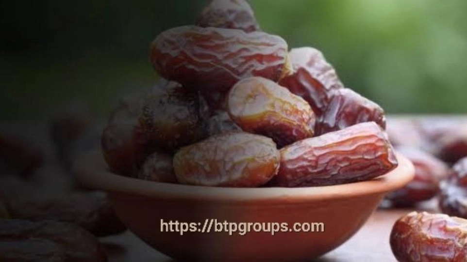 صادرات خرما به بوسنی: راهنمای گام به گام