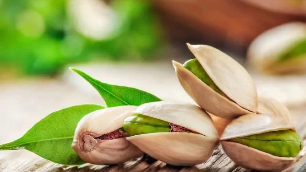 راهنمای خرید انواع پسته به انتخاب شما راهنمای خرید انواع پسته به انتخاب شما